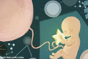 第三代试管婴儿 PGT